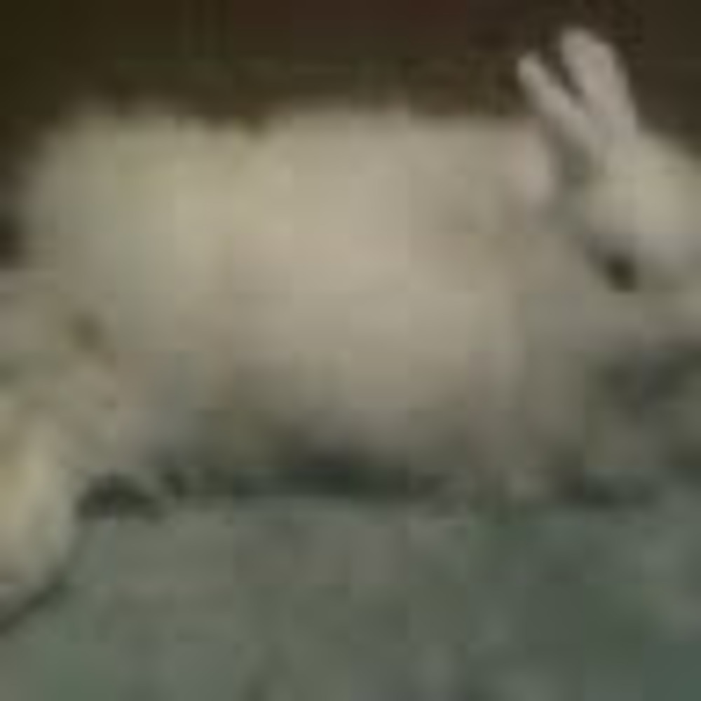 Meet your Posher, Lashk001